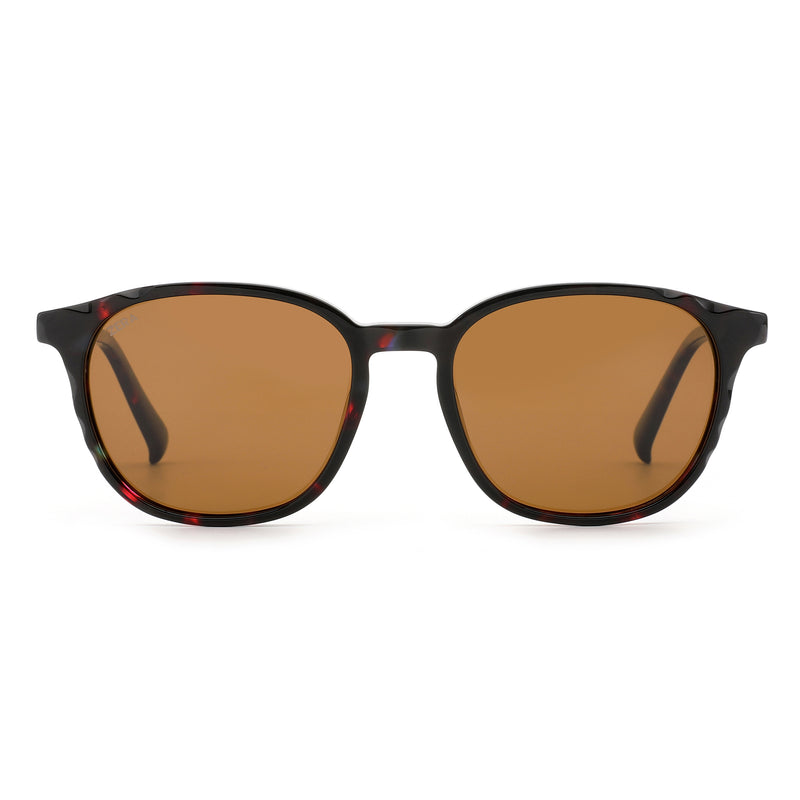 Kaelis - Whiskey Bronze Ash